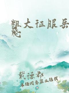 粗大征服岳女双飞