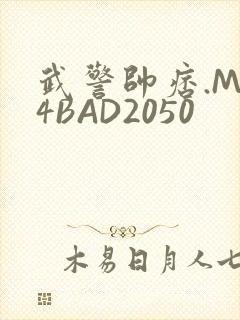 武警帅痞.MP4BAD2050