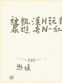 被粗汉H玩松了尿进去N-红-Q