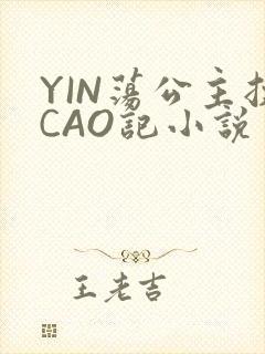 YIN荡公主挨CAO记小说