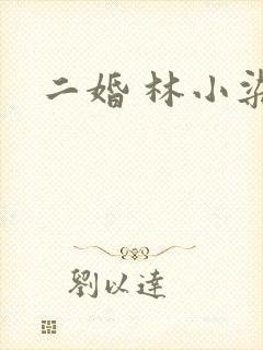 二婚 林小染