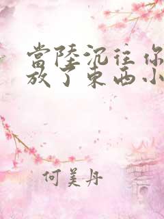 当陆沉往你里面放了东西小玩具