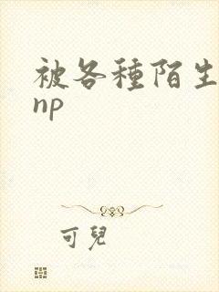 被各种陌生人 np