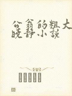 公翁的粗大放进晓静小说