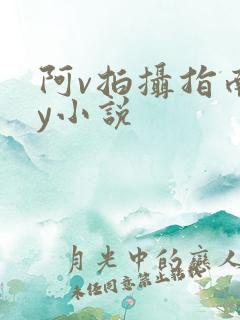 阿v拍摄指南by小说