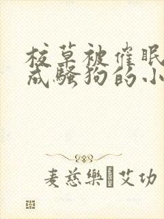 校草被催眠洗脑成骚狗的小说