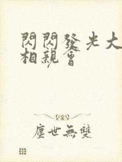 闪闪发光大团圆相亲会