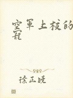 空军上校的邪魅宠