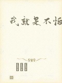 我就是不怕小说