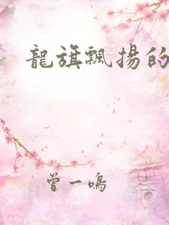 龙旗飘扬的舰队