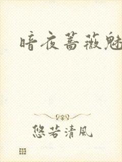 暗夜蔷薇魅