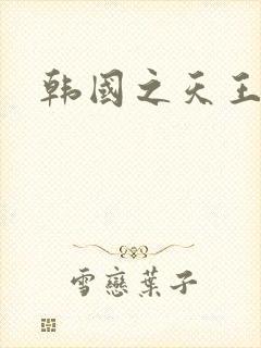 韩国之天王