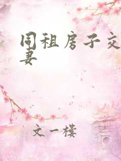 同租房子交换夫妻