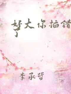 好大你插错地方了