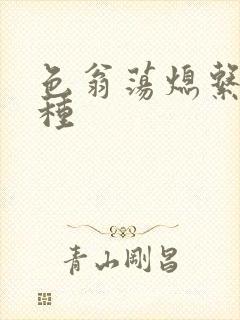 色翁荡熄系列借种