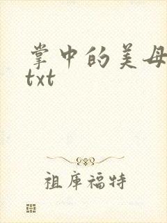 掌中的美母版主txt