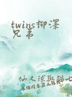 twins柳泽兄弟