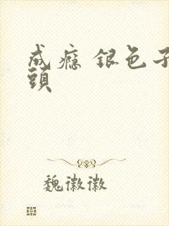 成瘾 银色子弹头