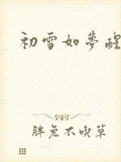 初雪如梦醒