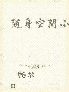 随身空间小说