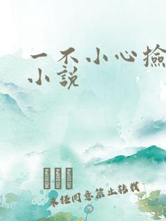 一不小心捡到爱小说