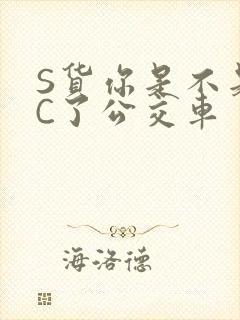 S货你是不是欠C了公交车