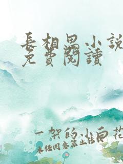 长相思小说全文免费阅读