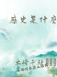 历史是什么玩意