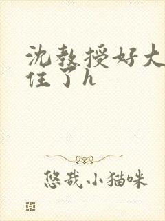 沈教授好大含不住了h