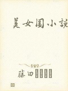 美女图小说下载