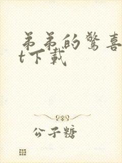 弟弟的惊喜txt下载