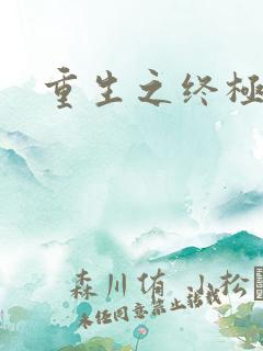 重生之终极杀手