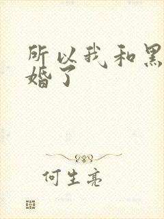 所以我和黑粉结婚了