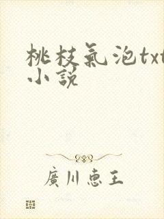 桃枝气泡txt小说