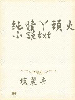 纯情丫头火辣辣小说txt