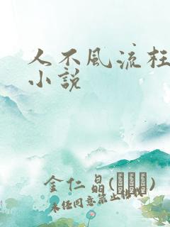 人不风流枉少年小说