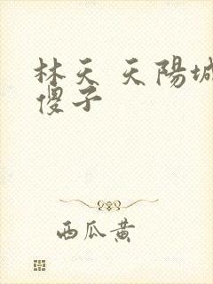 林天 天阳城 傻子