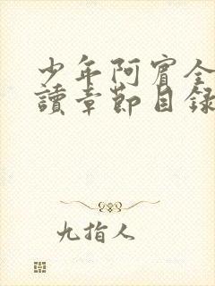 少年阿宾全文阅读章节目录