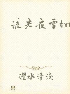 流光夜雪txt