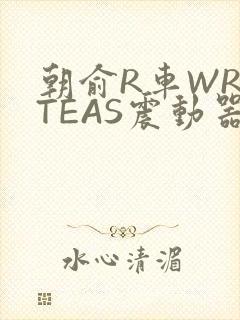 朝俞R车WRITEAS震动器