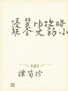 优质rb攻略系统全文的小说