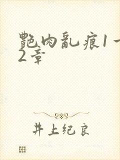 艳肉乱痕1一12章