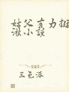 姑父有力挺送徐湫小说