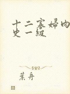 十二寡妇肉床艳史一级