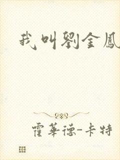 我叫刘金凤下架