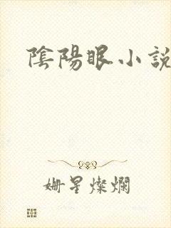 阴阳眼小说