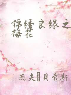 锦绣良缘之驿寄梅花