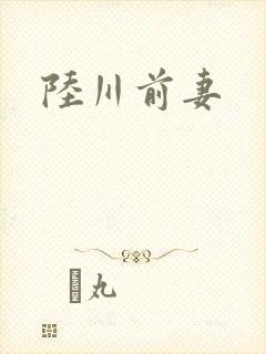 陆川前妻