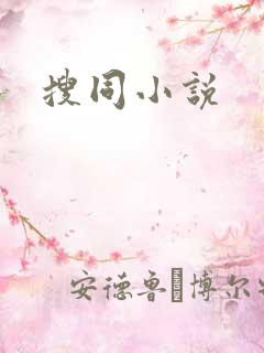 搜同小说