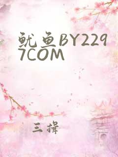 鱿鱼BY2297COM